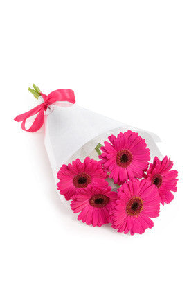 Hot pink gerberas delivered by local florists in Italy.