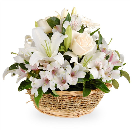 Send flowers in Italy including gerberas, lilies and alstroemerias in white tones arranged in basket.