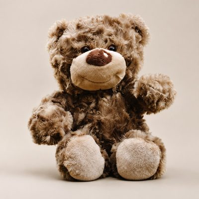 Plush Bear