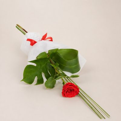 Simply Love Red Rose